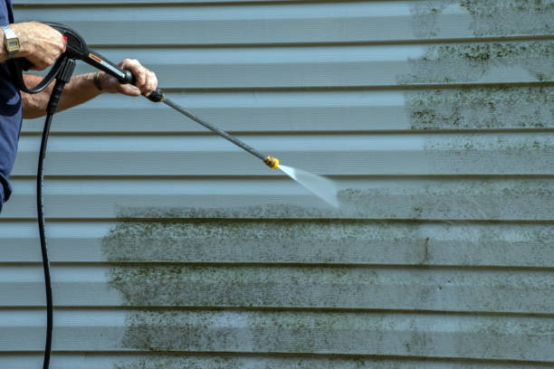 Professional Pressure Washing in Allendale, SC